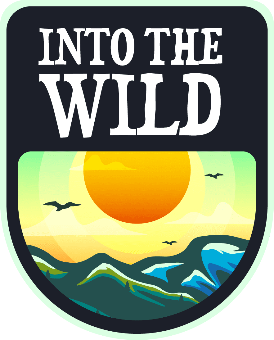 Into The Wild logo